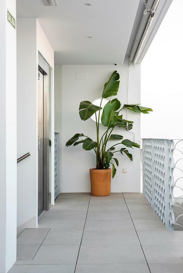 Apartamentos Y Estudios Centricos Conil Home Suite Conil De La Frontera Exterior photo